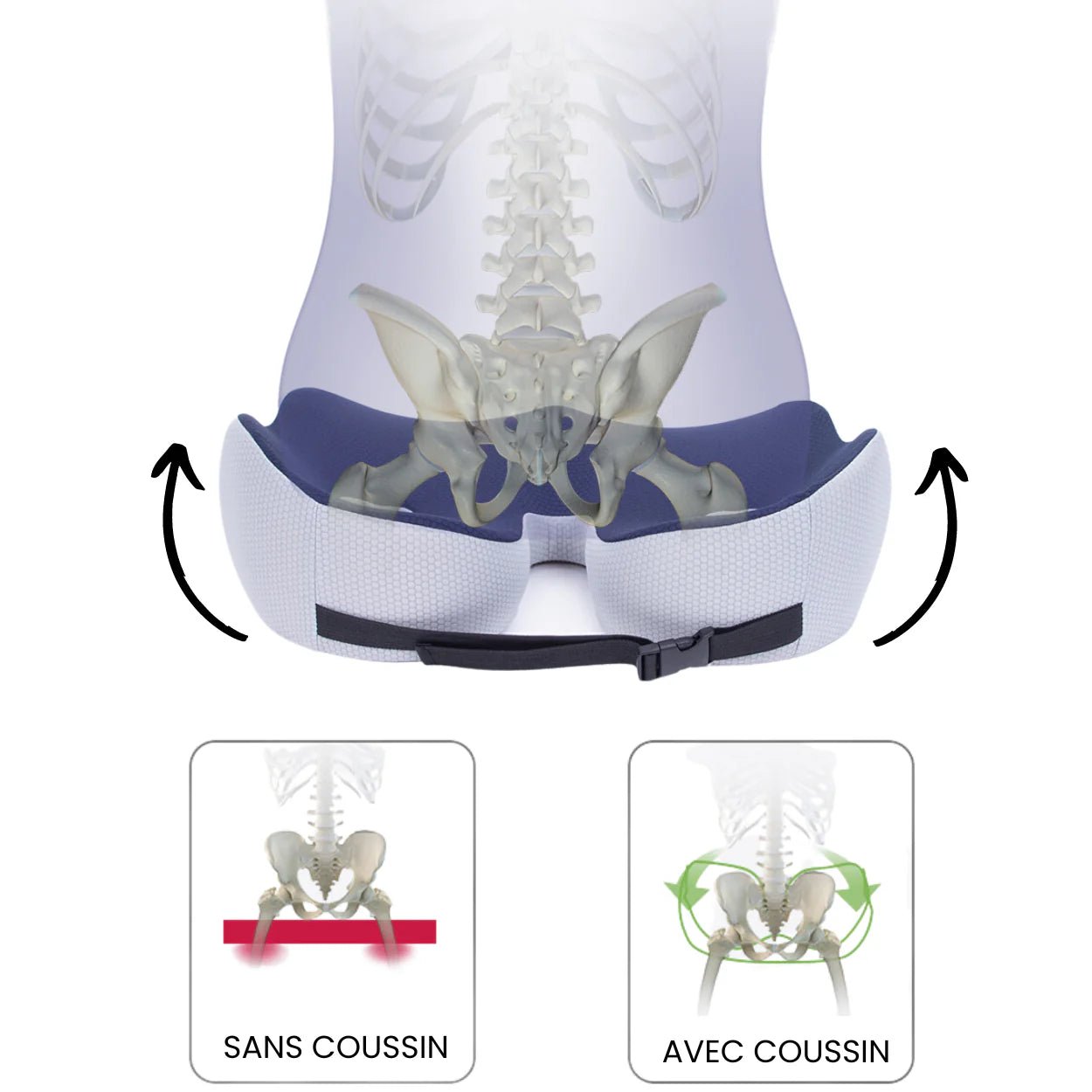 Coussin Orthopédique Fessier - Soulagement immédiat du mal de dos